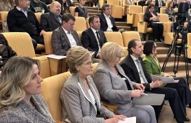 Парламентские слушания Комитета Государственной Думы по защите семьи, вопросам отцовства, материнства и детства.